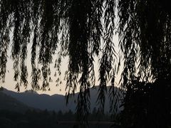 -西湖游船