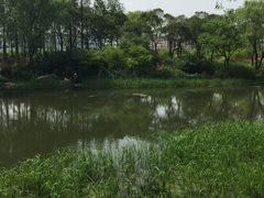 -新江湾城公园