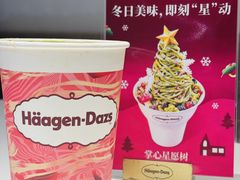-哈根达斯(大洋百货店)