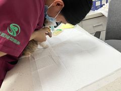 -瑞派雷欧宠物医院·中兽医·眼科·急重症转诊中心(黄台店)