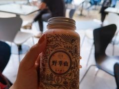 -野萃山·潮汕厚果汁(十亩地店)