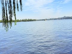 -西湖外事游船(花港观鱼码头)