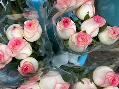 -循礼门鲜花花市(武汉循礼门店)