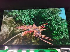 -华谊兄弟（长沙）电影小镇