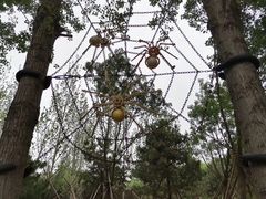 -回龙观体育文化公园