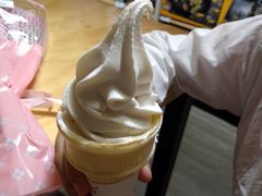 -麦当劳(塔园路店)