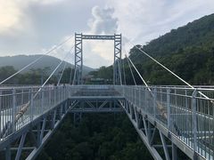 -呀诺达热带雨林