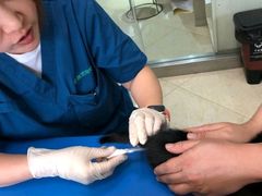 -瑞派申生动物医院·24H夜诊·国际动物医疗中心·骨外科(吴中路店)