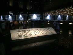 -侵华日军南京大屠杀遇难同胞纪念馆