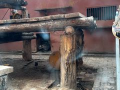 -青藏高原野生动物园