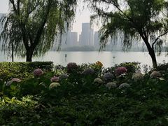-天鹅湖体育公园