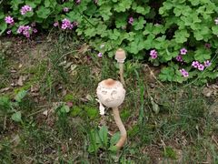 -南通洲际绿博园