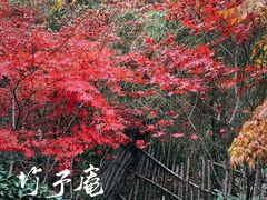-竹子庵公园
