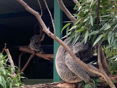 -费瑟代尔野生动物园