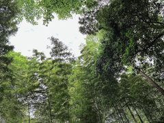 -敬亭山风景名胜区