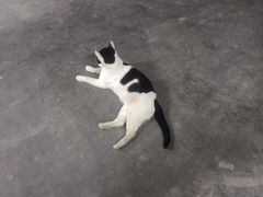 -麦多和·麦多馅饼(关虎屯店)