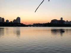 -白鹭洲公园