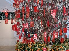 -春晖园度假酒店温泉