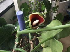 -新疆天山野生动物园