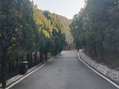 -佛慧山