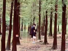 -广州市帽峰山景区