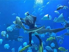 -渡海小渔村.老辈日照菜
