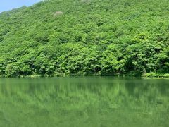 -龙道沟景区