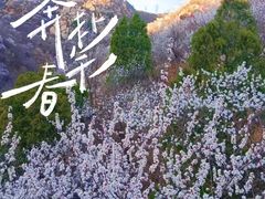 -北京凤凰岭