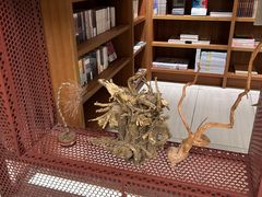 -二酉书店TOYOU BOOKS