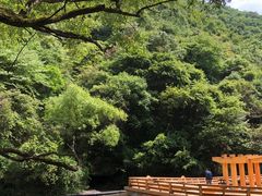 -少华山国家森林公园