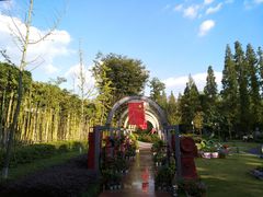 -成飞公园