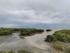 -北海金海湾红树林生态旅游区