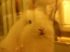 -龙猫仔乐园(惠福东路店)