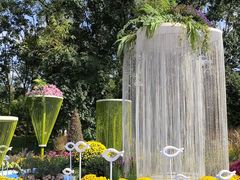 -上海共青森林公园