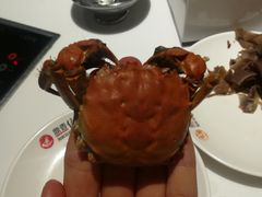 -鼎香缘海鲜自助火锅烤肉(锦辉购物广场店)