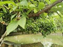 -Club Med地中海俱乐部·桂林度假村