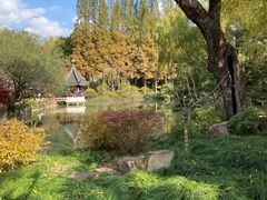 -上海醉白池公园