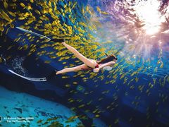 -三亚海昌梦幻海洋不夜城