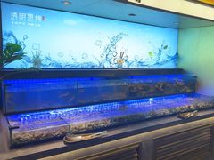 -透明思烤·自助烤肉海鲜火锅(东部星悦天地店)