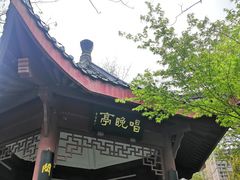 -堤角公园