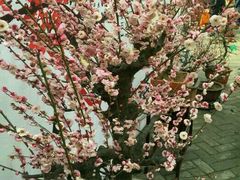 -西安曲江寒窑遗址公园