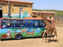 -鄂尔多斯野生动物园