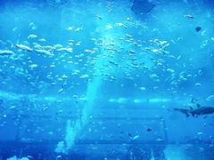 -南昌融创海世界