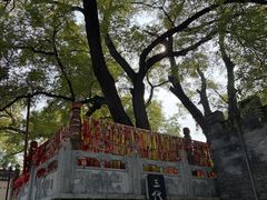 -大槐树寻根祭祖园