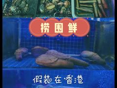 -捞围鲜·港式打边炉(海阳路店)