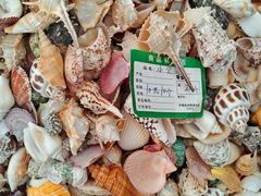 -石塘路海鲜市场(草厂中路店)