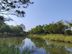 -福田红树林生态公园