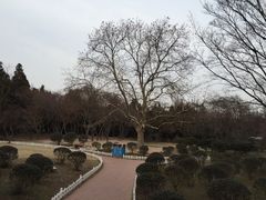 -八大关景区