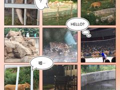 -西安秦岭野生动物园