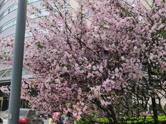 -东南大学附属中大医院(本部)